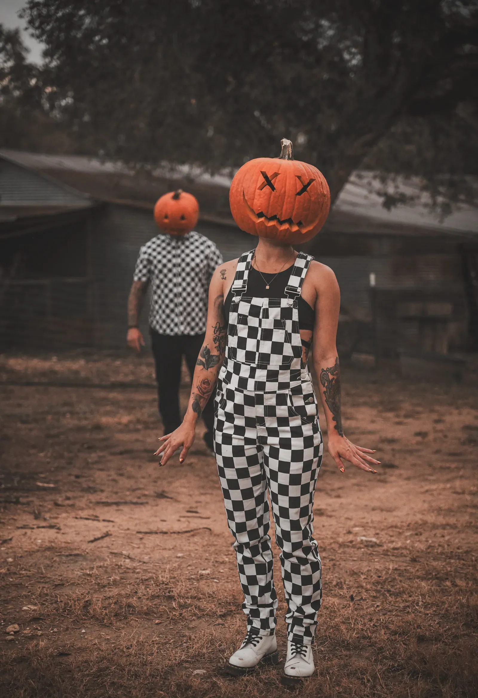 Guests clinking cider glasses near harvest decor.